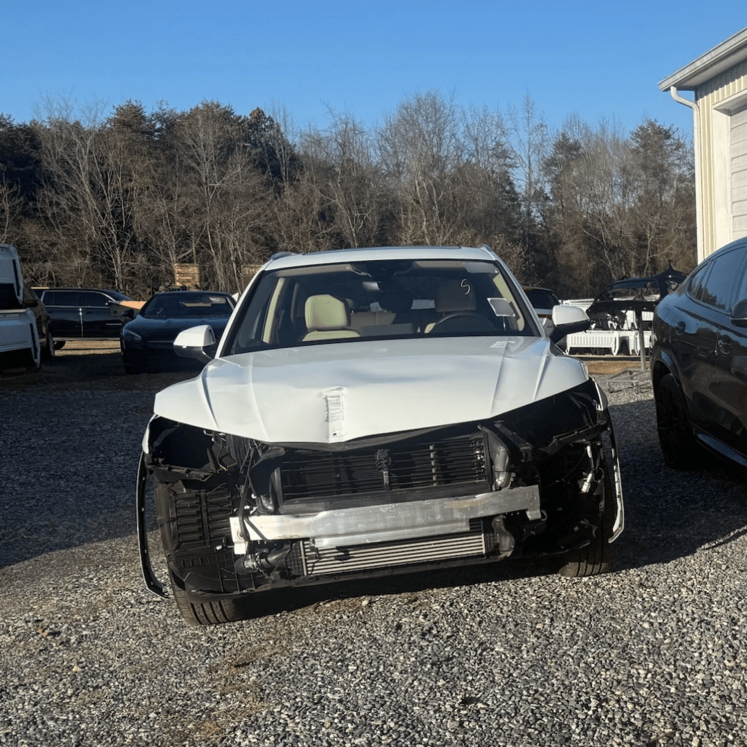 DYNAMIC COLLISION LLC (8)
